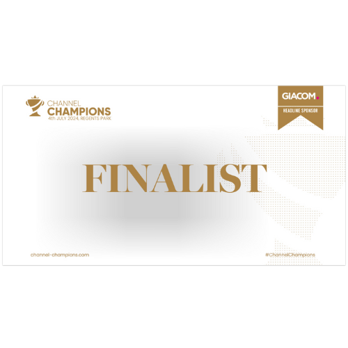 Channel Champion Awards 2024